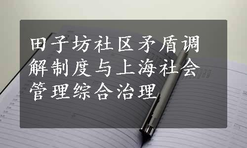 田子坊社区矛盾调解制度与上海社会管理综合治理