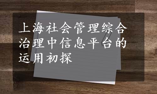 上海社会管理综合治理中信息平台的运用初探