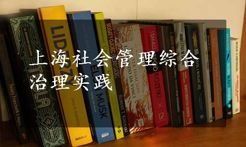 上海社会管理综合治理实践