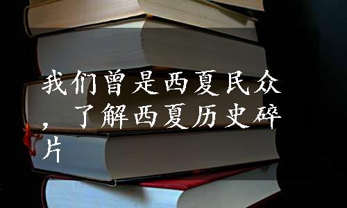 我们曾是西夏民众，了解西夏历史碎片