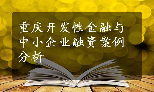 重庆开发性金融与中小企业融资案例分析