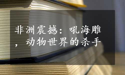 非洲震撼：吼海雕，动物世界的杀手