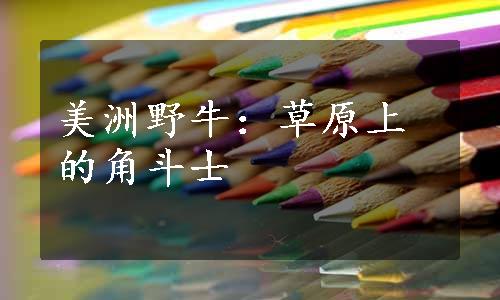 美洲野牛：草原上的角斗士