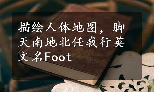 描绘人体地图，脚天南地北任我行英文名Foot