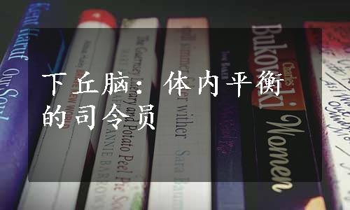 下丘脑：体内平衡的司令员