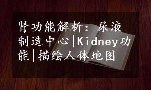 肾功能解析：尿液制造中心|Kidney功能|描绘人体地图