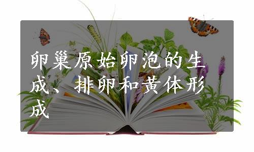 卵巢原始卵泡的生成、排卵和黄体形成