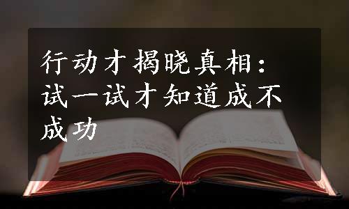 行动才揭晓真相：试一试才知道成不成功