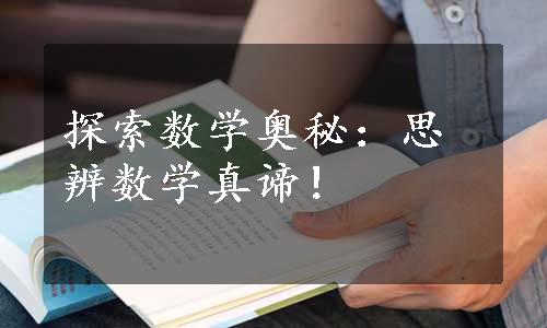 探索数学奥秘：思辨数学真谛！