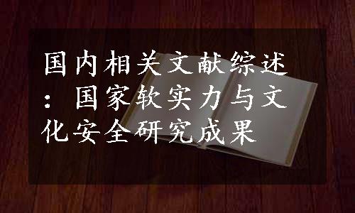 国内相关文献综述：国家软实力与文化安全研究成果