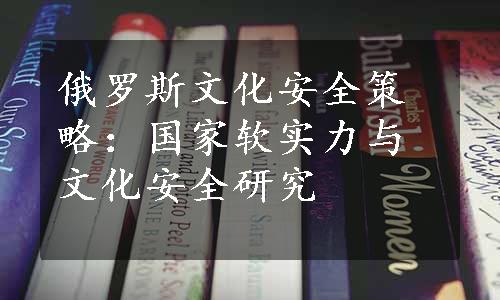 俄罗斯文化安全策略：国家软实力与文化安全研究