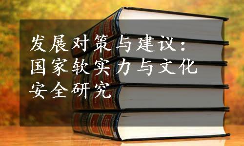 发展对策与建议：国家软实力与文化安全研究