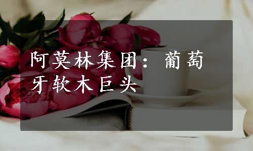 阿莫林集团：葡萄牙软木巨头