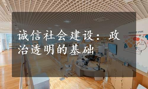 诚信社会建设：政治透明的基础