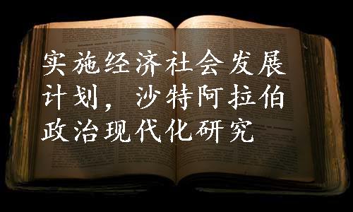 实施经济社会发展计划，沙特阿拉伯政治现代化研究