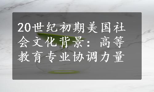 20世纪初期美国社会文化背景：高等教育专业协调力量