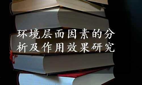 环境层面因素的分析及作用效果研究