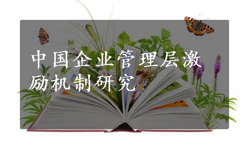 中国企业管理层激励机制研究