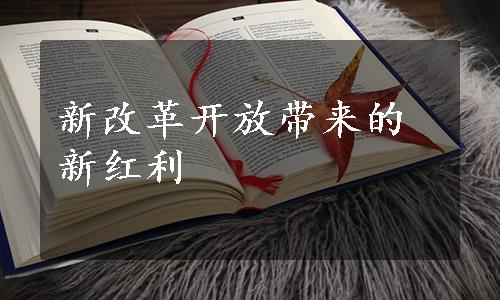 新改革开放带来的新红利