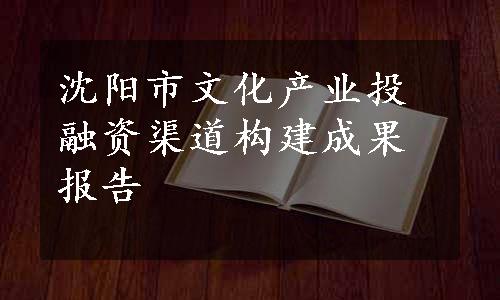 沈阳市文化产业投融资渠道构建成果报告