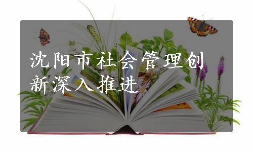 沈阳市社会管理创新深入推进