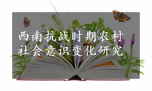 西南抗战时期农村社会意识变化研究