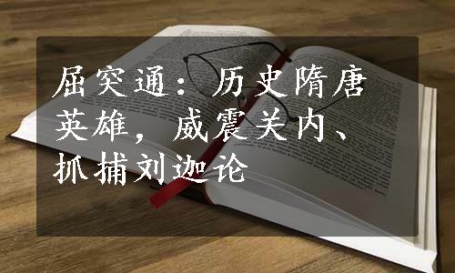 屈突通：历史隋唐英雄，威震关内、抓捕刘迦论