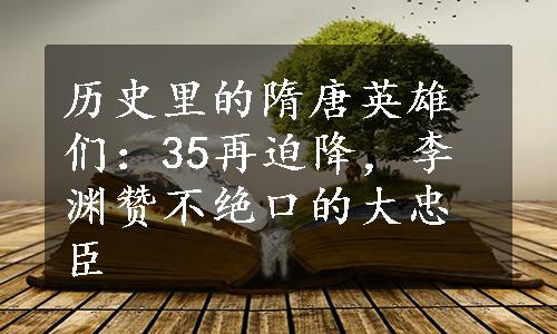 历史里的隋唐英雄们：35再迫降，李渊赞不绝口的大忠臣