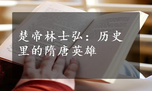 楚帝林士弘：历史里的隋唐英雄