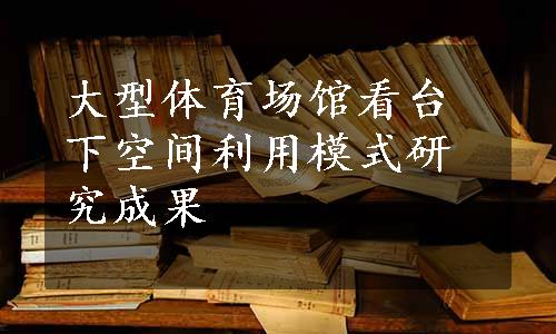 大型体育场馆看台下空间利用模式研究成果