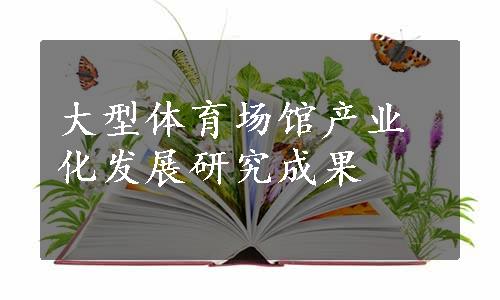 大型体育场馆产业化发展研究成果