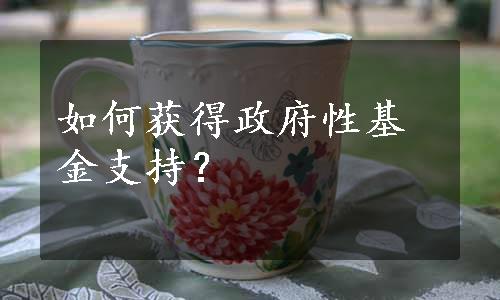 如何获得政府性基金支持？