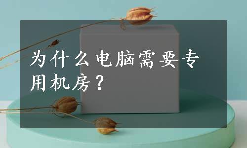 为什么电脑需要专用机房？