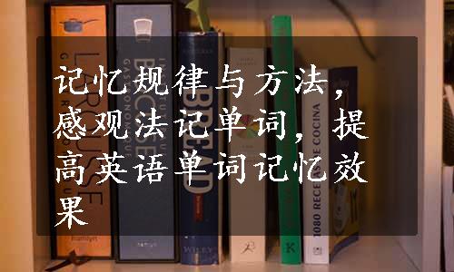 记忆规律与方法，感观法记单词，提高英语单词记忆效果