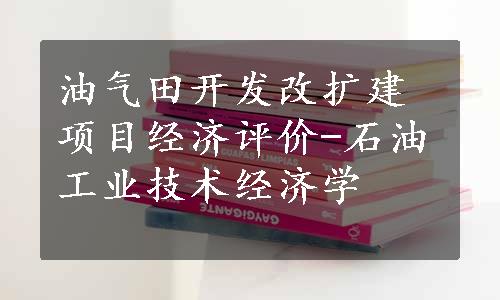 油气田开发改扩建项目经济评价-石油工业技术经济学