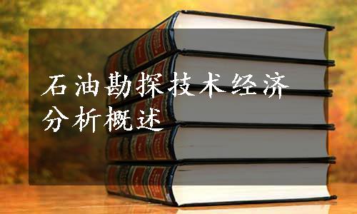 石油勘探技术经济分析概述