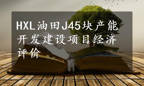 HXL油田J45块产能开发建设项目经济评价