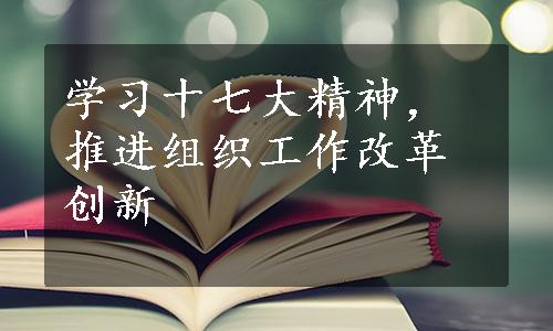 学习十七大精神，推进组织工作改革创新