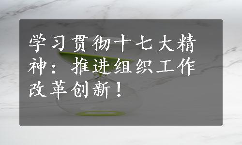 学习贯彻十七大精神：推进组织工作改革创新！