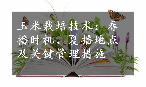 玉米栽培技术：春播时机、夏播地点及关键管理措施