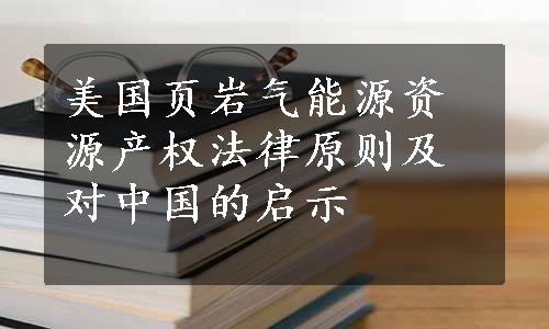 美国页岩气能源资源产权法律原则及对中国的启示