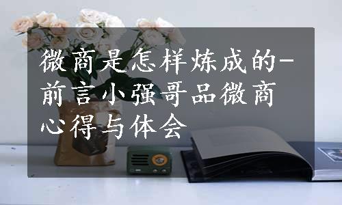 微商是怎样炼成的-前言小强哥品微商心得与体会