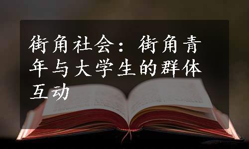 街角社会：街角青年与大学生的群体互动