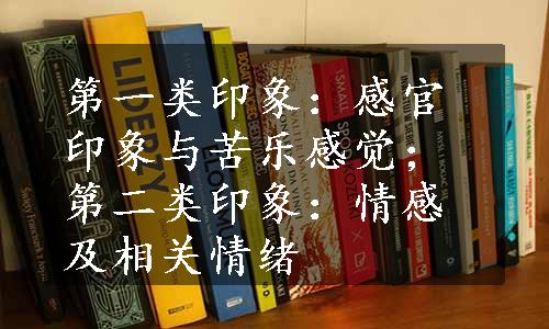 第一类印象：感官印象与苦乐感觉；第二类印象：情感及相关情绪