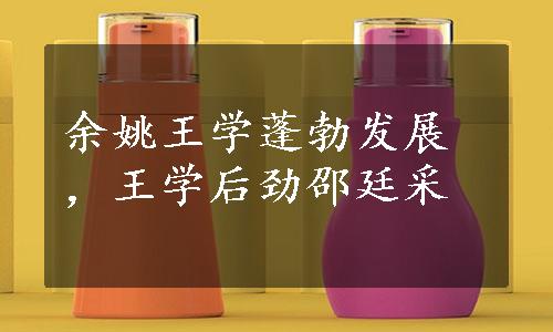 余姚王学蓬勃发展，王学后劲邵廷采