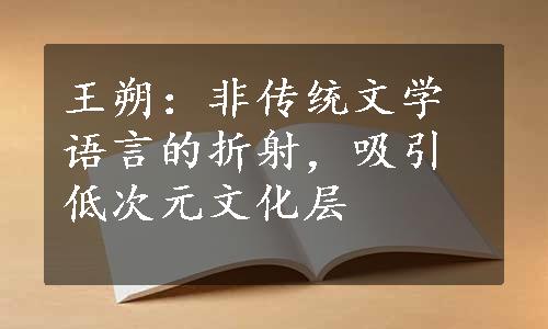 王朔：非传统文学语言的折射，吸引低次元文化层