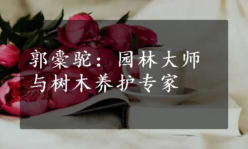 郭橐驼：园林大师与树木养护专家