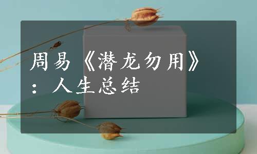 周易《潜龙勿用》：人生总结