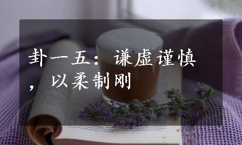 卦一五：谦虚谨慎，以柔制刚