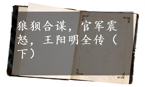 狼狈合谋，官军震怒，王阳明全传（下）